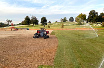 Turf and Sod Installation