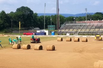 Turf and Sod Installation